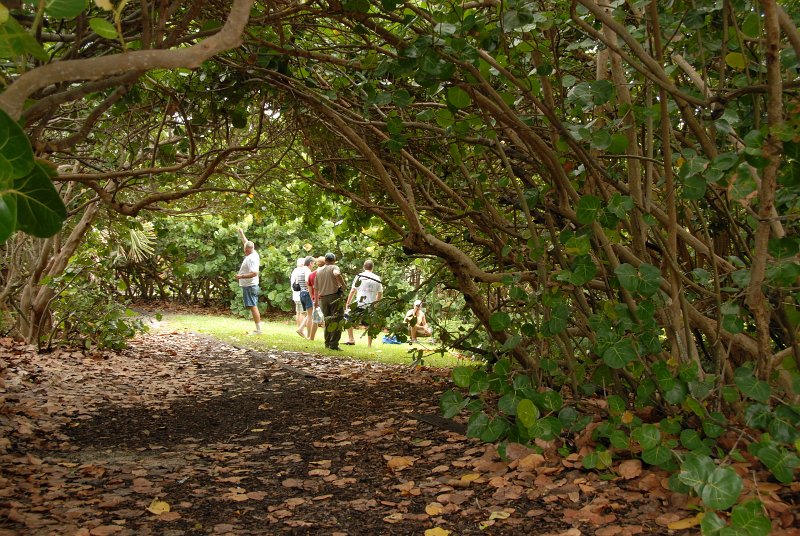 JTRG_FD_2012 (66).JPG